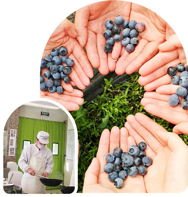 我们可以给你什么？