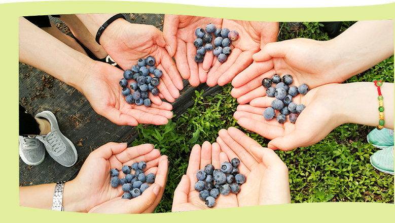 落实健全公司治理