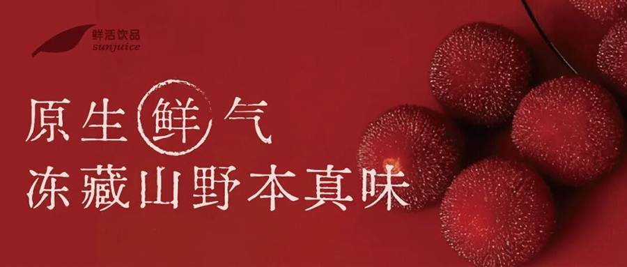 云岭滇梅 冻锁本味鲜醇